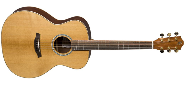 Гитара Baton Rouge TLW/A Wild Service Tree | Блог musicmarket Гитара Baton Rouge TLW/A Wild Service Tree | Блог musicmarket