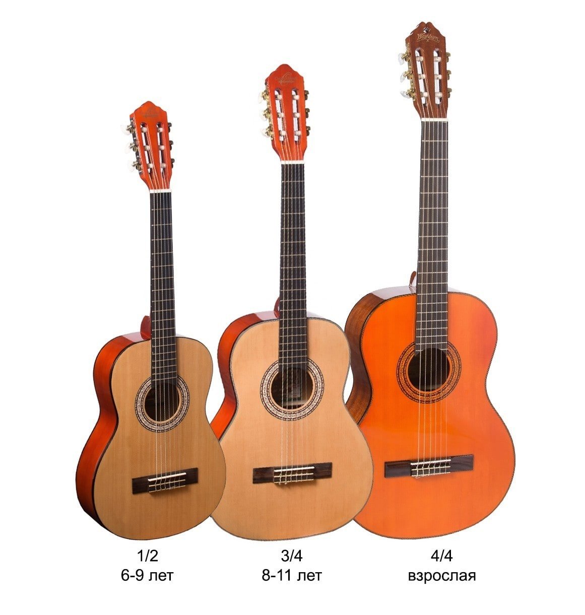 Гитара 1 2 купить. Гитара 3/4. Размер классической гитары 4/4. Гитара классическая Chard es-3990s. Размеры гитары акустической 7/8.