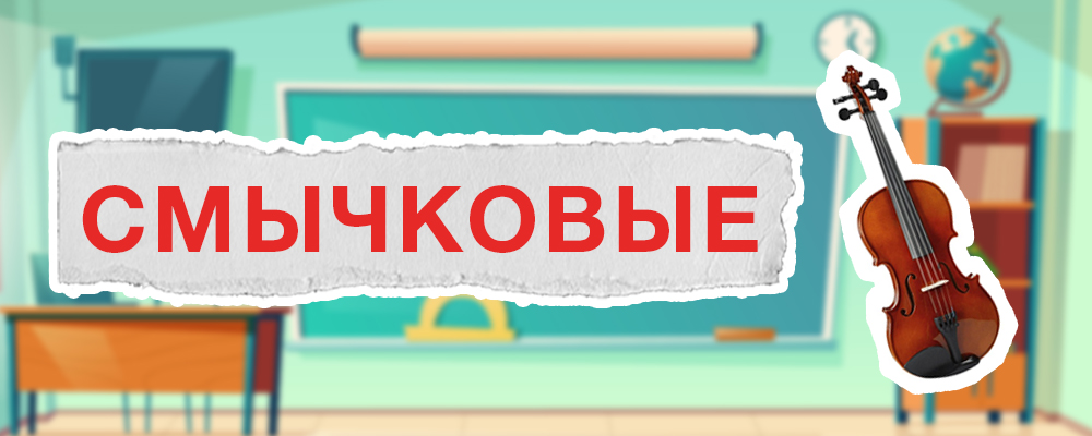 Скрипки, альты, виолончели | Блог MusicMarket