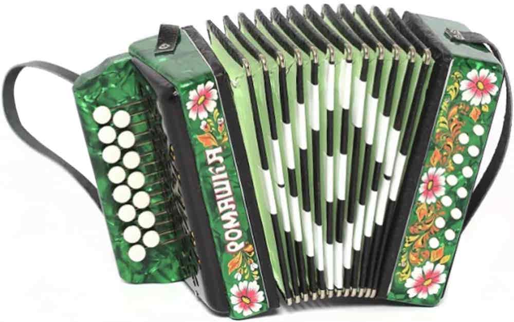 Шуйская гармонь в24l-bl баян «озорник» 37х60-ii. Шуйская гармонь чайка. Гармонь детская. Гармонь хохнер. Елецкая гармонь.