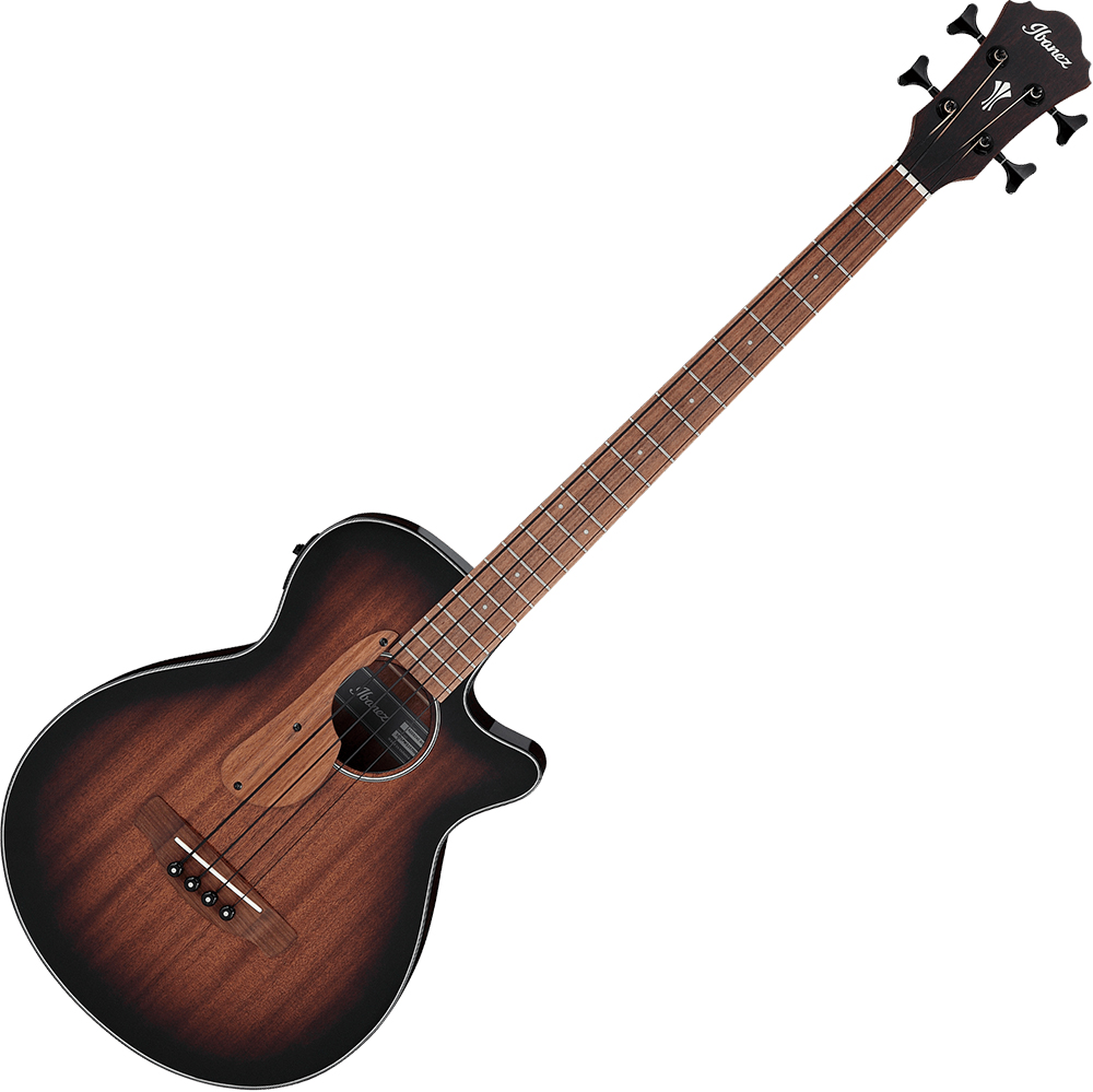 Электроакустическая бас-гитара Ibanez AEGB24E-MHS: купить в Минске и ...