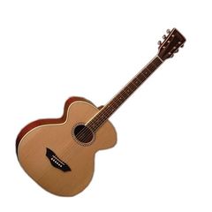 Гитара акустическая Washburn WB200S