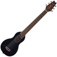 Гитара акустическая Washburn RO10B