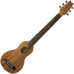 Гитара акустическая Washburn RO10KK