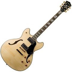 Полуакустическая гитара Washburn HB35NK