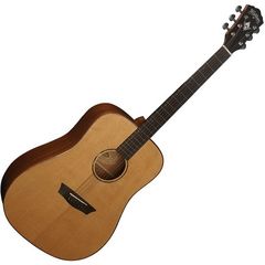 Гитара акустическая Washburn WD160SW