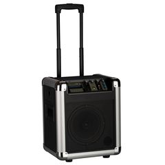 Акустическая система Soundking PA8M