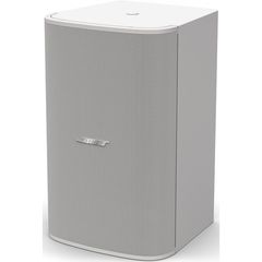 Сабвуфер Bose DesignMax DM10S-Sub (White)