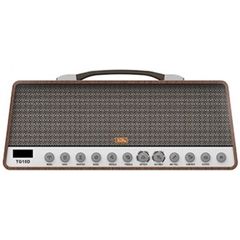 Комбоусилитель Soundking TG10