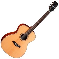 Гитара акустическая Parkwood S22-GT