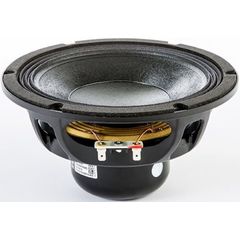 Динамик Eighteen Sound 8NW650/8