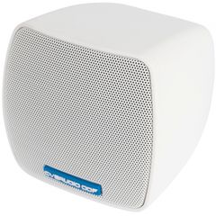 Пассивная акустическая система CVGaudio ODF308W