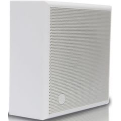Пассивная акустическая система CVGaudio WPS6T