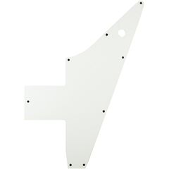 Панель защитная Hosco EX-W1P