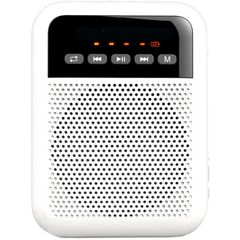 Портативная акустическая система Laudio WS-VA030-Pro