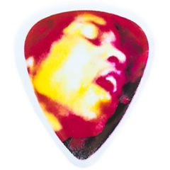 Медиатор Dunlop JHR03H Jimi Hendrix Electric Ladyland