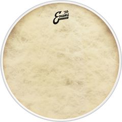 Пластик Evans BD26CT