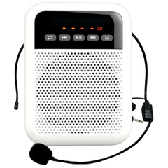 Портативная акустическая система LAudio WS-VA030