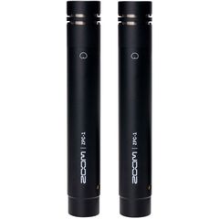 Пара микрофонов Zoom ZPC-1