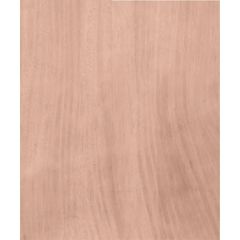 Заготовка корпуса электрогитары Sunsmile GB-Mahogany-1