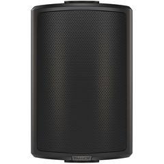 Пассивная акустическая система Tannoy AMS 5ICT LS