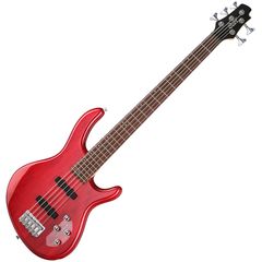 Бас-гитара Cort Action Bass V Plus TR WBAG