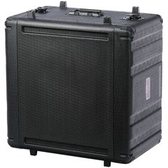 Рэковый кейс BDS PC-6UM