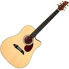 Гитара акустическая NG DM411SC NA