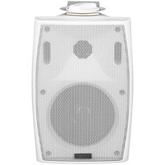 Настенная акустическая система TADS DS-541K