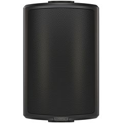 Пассивная акустическая система Tannoy AMS 5ICT