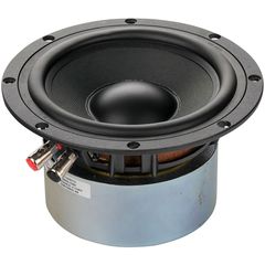 Динамик Soundking FH0601G