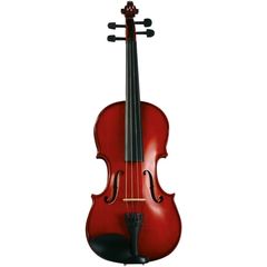 Скрипка Eko EBV 1412 Student 3/4