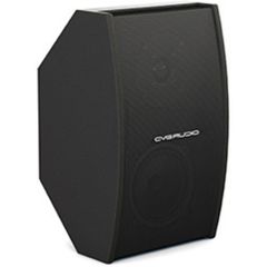 Пассивная акустическая система CVGaudio AXE5:8BL