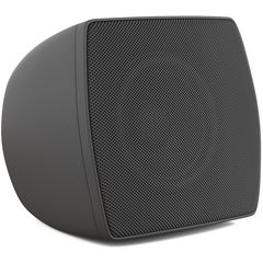 Пассивная акустическая система CVGaudio ODF308BL