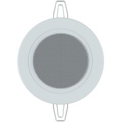 Пассивная акустическая система CVGaudio CRM2.5T