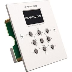 Настенный контроллер CVGaudio ERC-1W