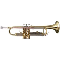 Труба Soundsation STPGD-10