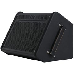 Комбоусилитель DK iC-100