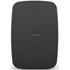 Пассивная акустическая система CVGaudio OSR608TBL