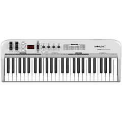MIDI клавиатура LAudio KS49B