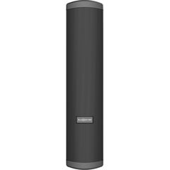 Пассивная акустическая система Audiocenter Artist T43