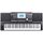 Синтезатор Medeli A810