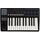 MIDI клавиатура LAudio Panda-25C