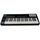 MIDI клавиатура LAudio Panda-49C