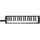 Мелодика Hohner Performer 37