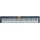 Цифровое пианино Casio CDP-S360