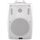 Настенная акустическая система TADS DS-551K-White