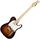 Электрогитара Inspector TT LE Sunburst