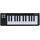 MIDI-клавиатура Arturia MicroLab mk3 Black