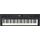 Синтезатор Roland GO:KEYS 5 GT